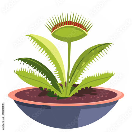 Stylized vector illustration of a carnivorous Venus flytrap plant in a pot
