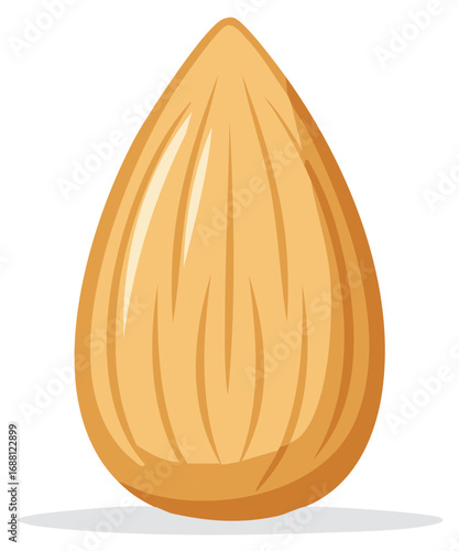 Isolated Almond Seed: Single, Healthy Edible Nut with Brown Skin and Unique Vertical Textures