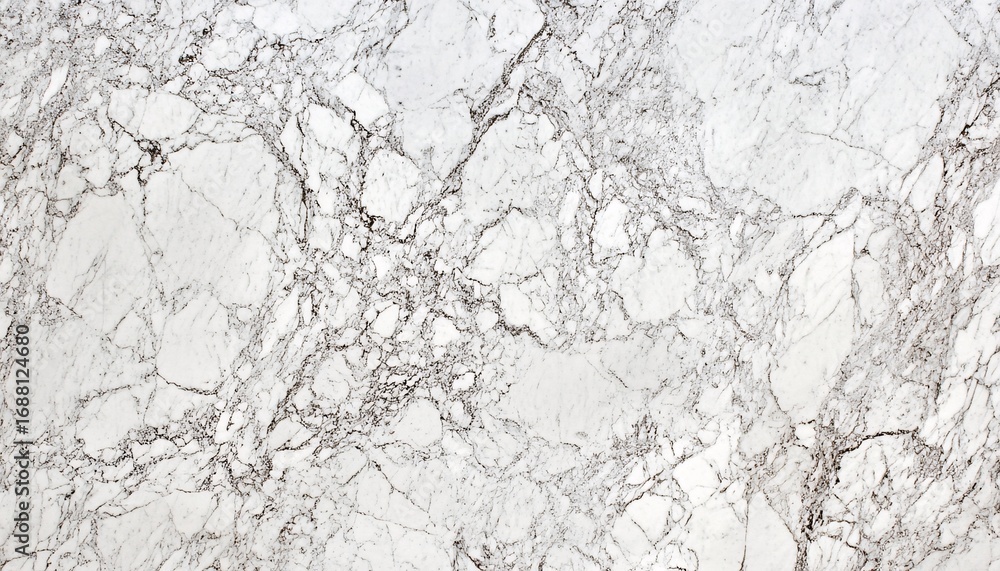 Fototapeta premium The image shows a detailed close-up of a white marble surface with a network of thin grey veins throughout its texture.