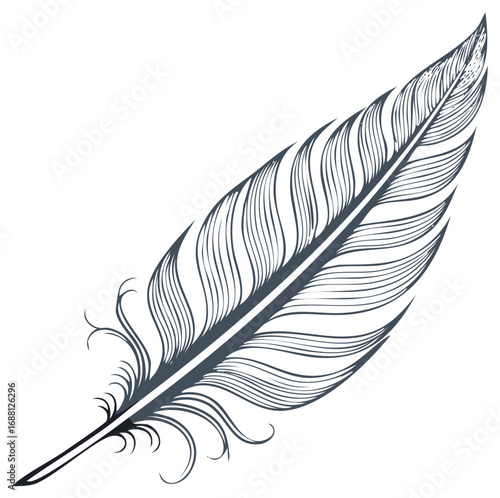 Graceful feather graphic with intricate detailing, isolated illustration, vector design element.