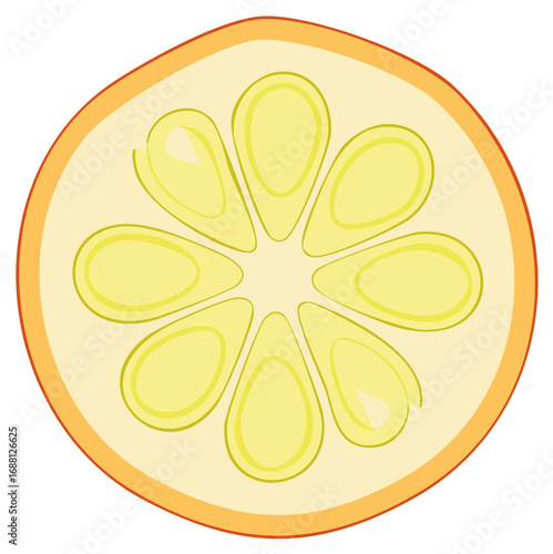 Stylized Slice of Citrus Fruit with Orange Rind and Yellow Segments