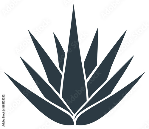 Stylized agave plant icon vector graphic. Simple succulent silhouette for tequila or mezcal logo design.