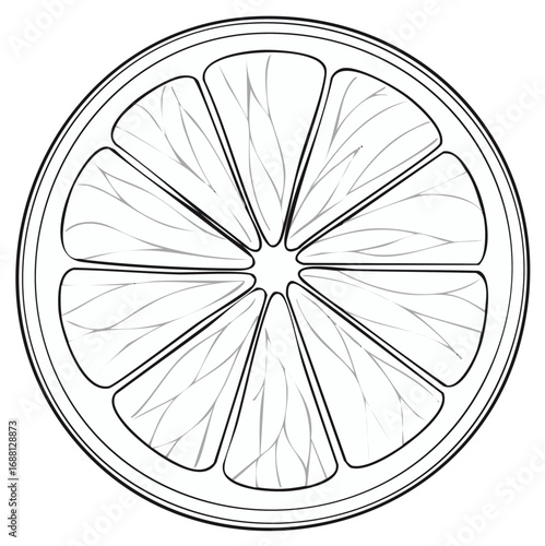 Monochrome line art illustration of a fresh citrus fruit slice with inner segments
