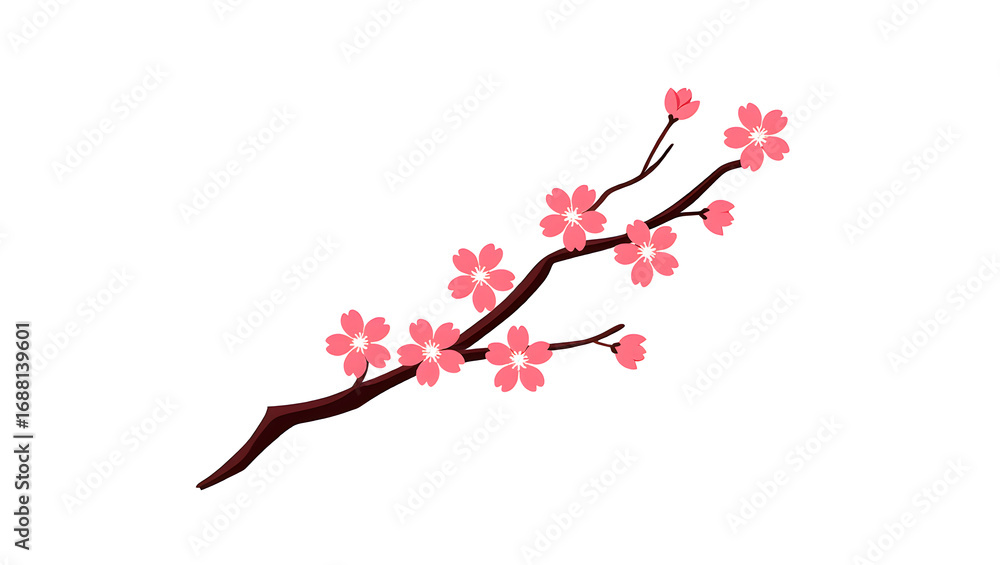 Fototapeta premium Pink cherry blossom branch with dark brown stem on white background flower