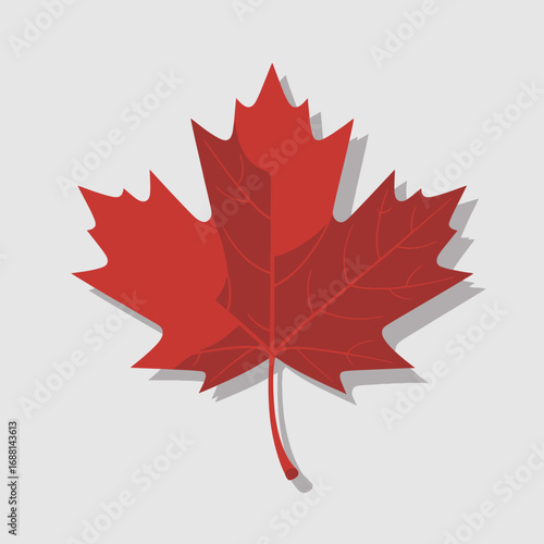 This bright red maple leaf represents the beauty of nature and the changing seasons, highlighting the vivid colors that autumn brings to the landscape and our lives.