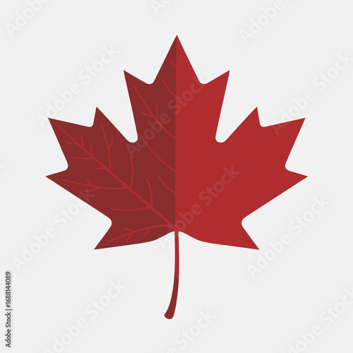 This classic maple leaf features fine details and a rich red hue, representing the elegance of nature while capturing the essence of changing seasons and environmental beauty.