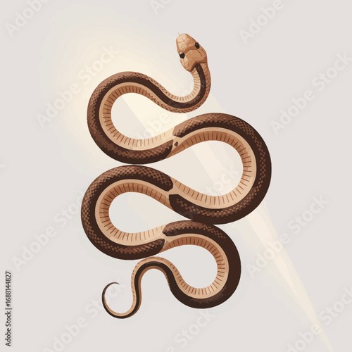 This illustration showcases an elegant snake with rich textures and a captivating design, capturing the essence of nature's allure and the interplay of form and color.