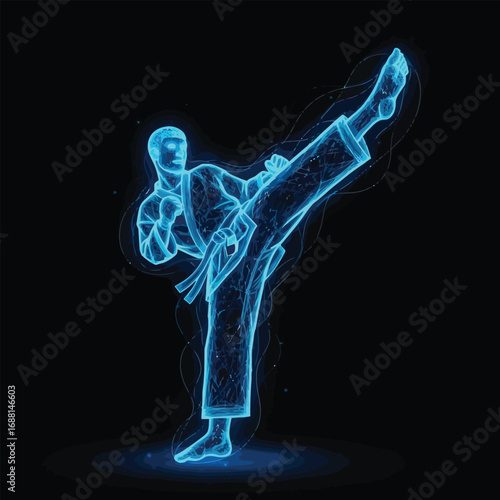A stylized, glowing illustration of a karateka performing a powerful high kick.