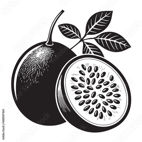 Black passion Silhouette Vector, High Quality Illustration on White Background