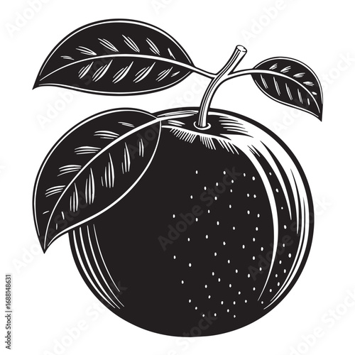Black orange Silhouette Vector, High Quality Illustration on White Background