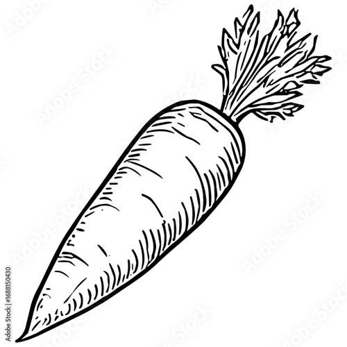 Carrot