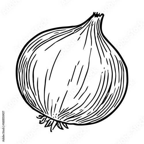 Onion