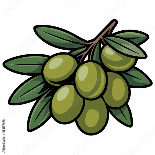 Olive Branch Leaf, Fruits Vector Drawing On A White Transparent Background