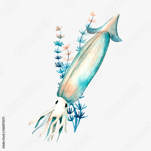 Vector watercolor squid surrounded by algae. vector marine illustration