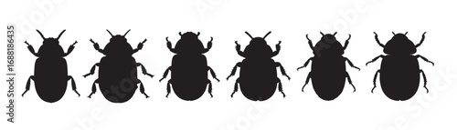 beetle silhouette white background.