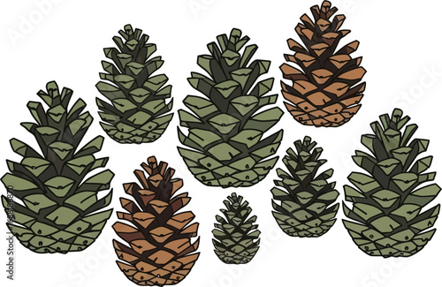 vector illustration of a pine cones