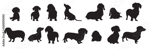 dachshund animal silhouette set