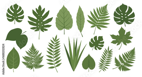Elegant tropical leaf collection for modern botanical designs and vibrant summer patterns ready to use