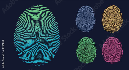 Unique fingerprint patterns in vibrant colors symbolizing identity, security, and individuality