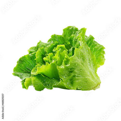 Fresh romaine lettuce glistens with water droplets, perfect for healthy recipes or vibrant culinary designs, inviting freshness and natural goodness