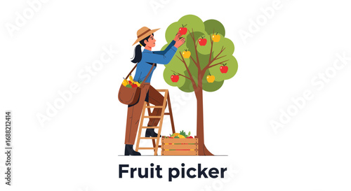 Person harvesting fruit from a tree in an orchard, agriculture, food production, farming work
