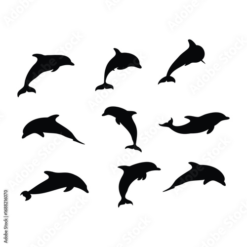 Dolphin Silhouette Icons – Marine Animal Vector Set