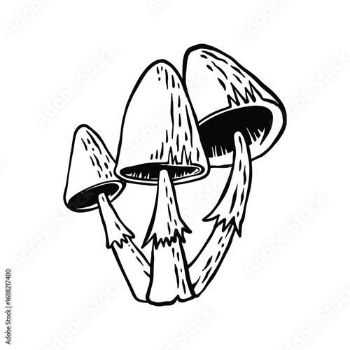 Cartoon Style Hand Drawn Lineart Mushroom Artwork