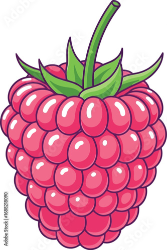 Vibrant ripe raspberry illustration fresh summer berry healthy fruit sweet food vector