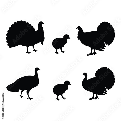 Silhouettes of Turkeys – Farm Bird Vector Set