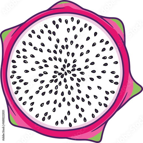 Vibrant pitaya dragon fruit cross section fresh tropical exotic healthy food ingredient vector