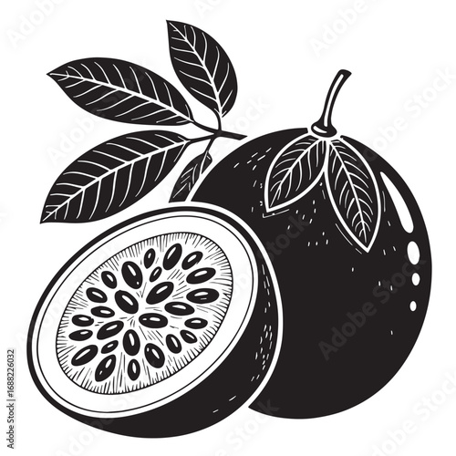 Black passion Silhouette Vector, High Quality Illustration on White Background