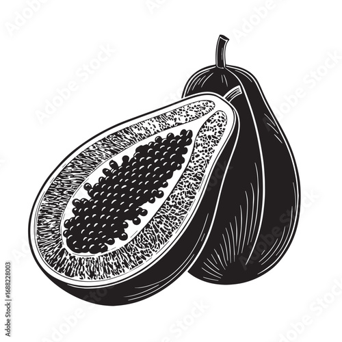 Black pawpaw Silhouette Vector, High Quality Illustration on White Background