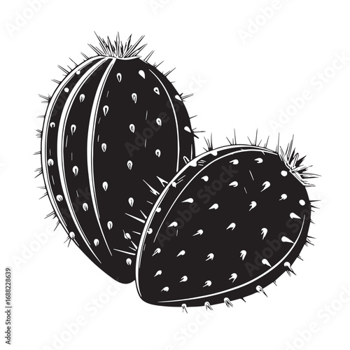 Black prickly Silhouette Vector, High Quality Illustration on White Background