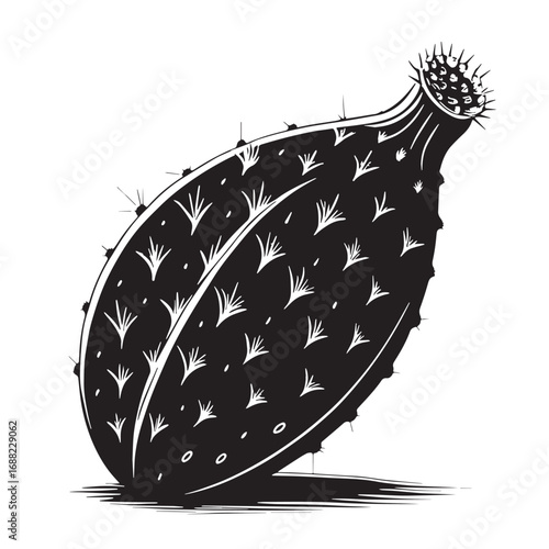Black prickly Silhouette Vector, High Quality Illustration on White Background