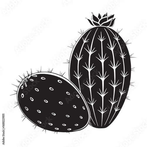 Black prickly Silhouette Vector, High Quality Illustration on White Background