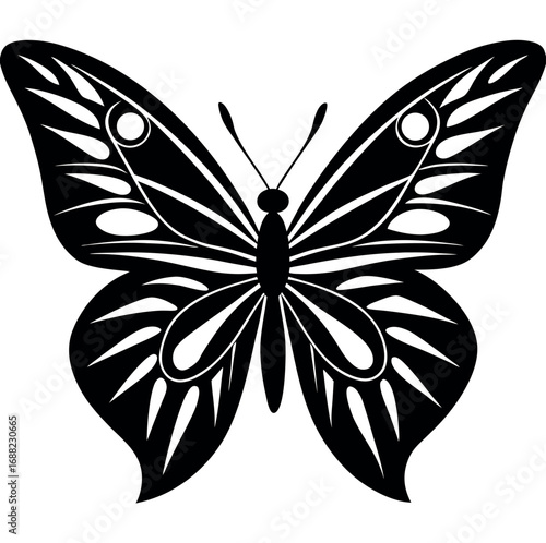 Intricate black and white butterfly illustration with detailed wings