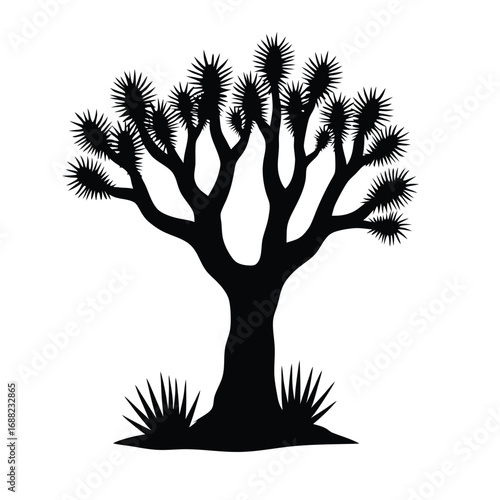 Black silhouette of a Joshua tree with spiky leaves