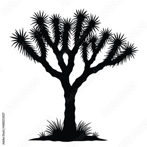 Black silhouette of a Joshua tree with spiky leave