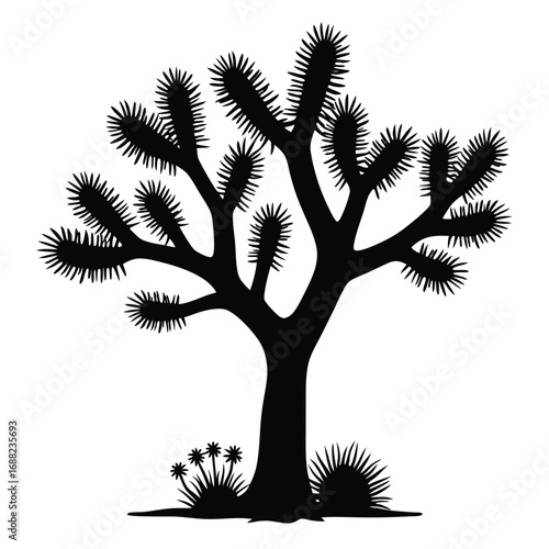 Black silhouette of a Joshua tree with spiky leaves