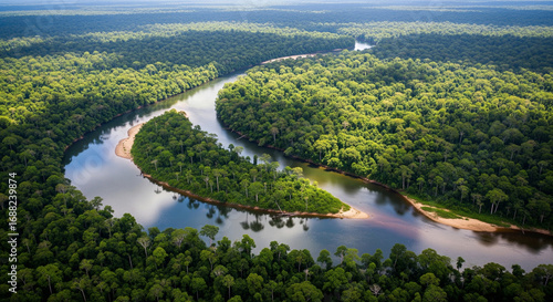 Aerial View of a Meandering River Flowing Through a Lush, Green Forest Ecosystem