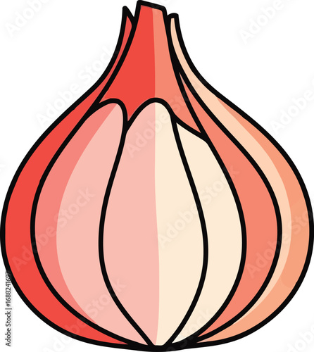 Stylized red onion illustration healthy organic vegetable food ingredient culinary kitchen cooking element vector