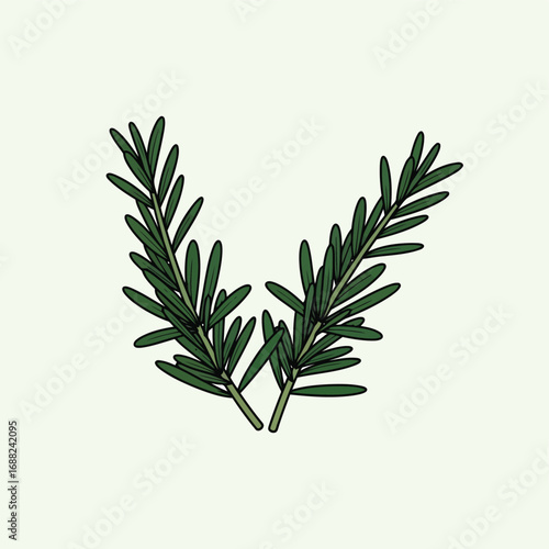 Fresh rosemary sprigs isolated green herbs aromatic culinary ingredient for cooking and seasoning vector