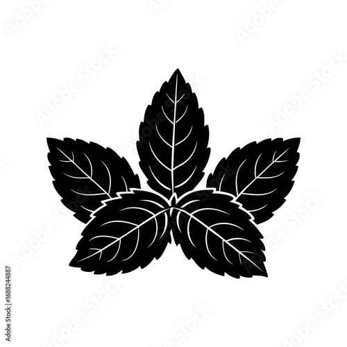 Bold silhouette graphic of five overlapping mint leaves on a white background