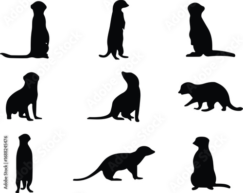 Meerkat silhouette collection, wildlife animal poses, standing sitting walking meerkats, black vector design, cad drawing flat vector illustration