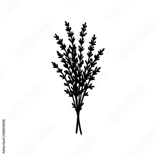 Stylized Silhouette Illustration of Thyme Plant with Dense Foliage and Delicate Leaves