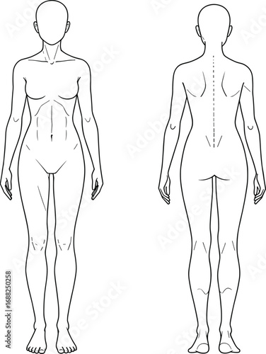 Front and Back Human Anatomy Line Drawing – Gender-Neutral Muscle Structure, Medical Reference, Symmetrical Body Chart for Educational, Healthcare, Fitness, and Design Use