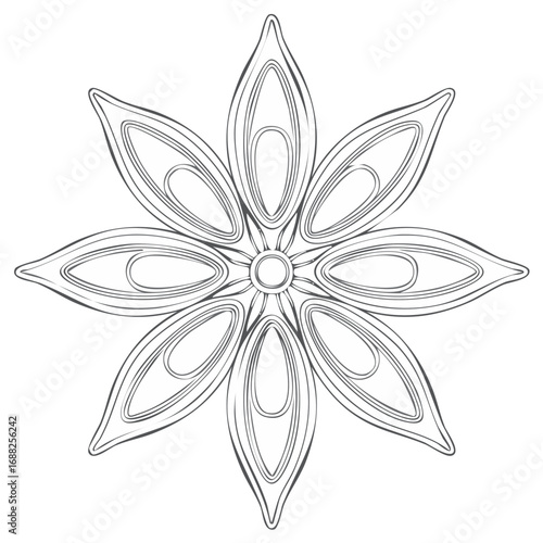 Star Anise Spice Outline Illustration