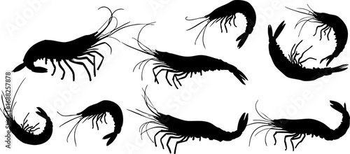 Stylized Shrimp Silhouette Collection