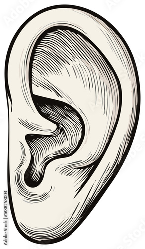 Detailed human ear illustration with black ink cross-hatching and sepia tone