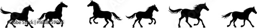 Galloping Wild Horse Silhouette Set 